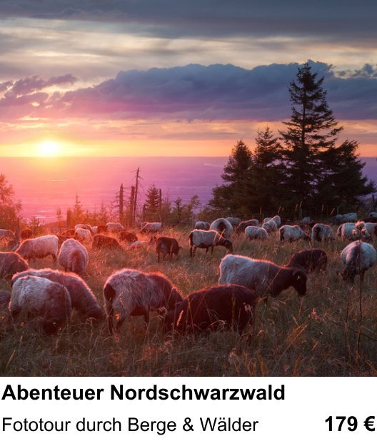 Einsteigerfreundlicher Fotokurs: Abenteuer Nordschwarzwald – Fototour durch Berge & Wälder