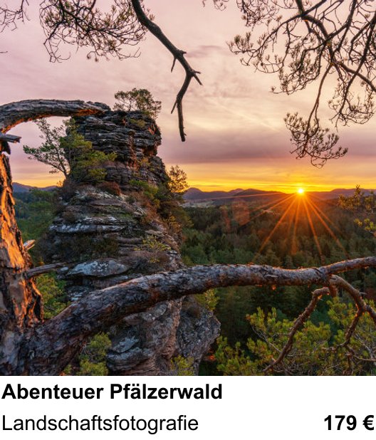 Einsteigerfreundlicher Fotokurs: Abenteuer Pfälzerwald – Landschaftsfotografie