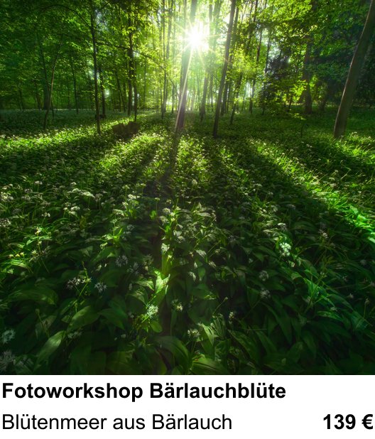 Einsteigerfreundlicher Fotokurs: Fotoworkshop Bärlauchblüte – Blütenmeer aus Bärlauch