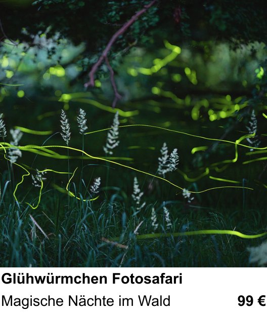 Einsteigerfreundlicher Fotokurs: Glühwürmchen Fotosafari – Magische Nächte im Wald