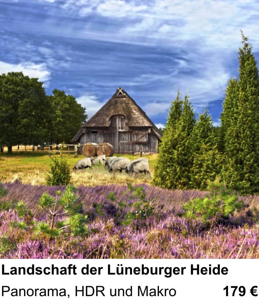 Einsteigerfreundlicher Fotokurs: Landschaft der Lüneburger Heide – Panorama, HDR und Makro