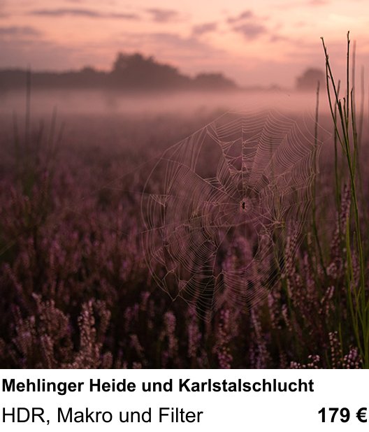 Einsteigerfreundlicher Fotokurs: Mehlinger Heide und Karlstalschlucht – HDR, Makro und Filter