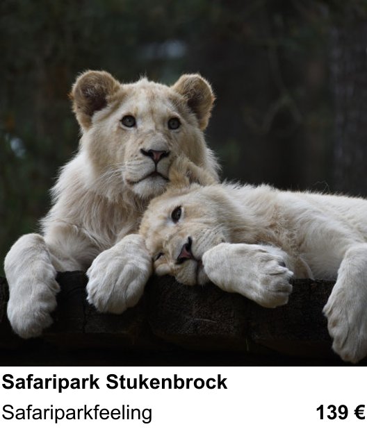 Einsteigerfreundlicher Fotokurs: Safaripark Stukenbrock – Safariparkfeeling