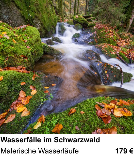 Einsteigerfreundlicher Fotokurs: Wasserfälle im Schwarzwald – Malerische Wasserläufe