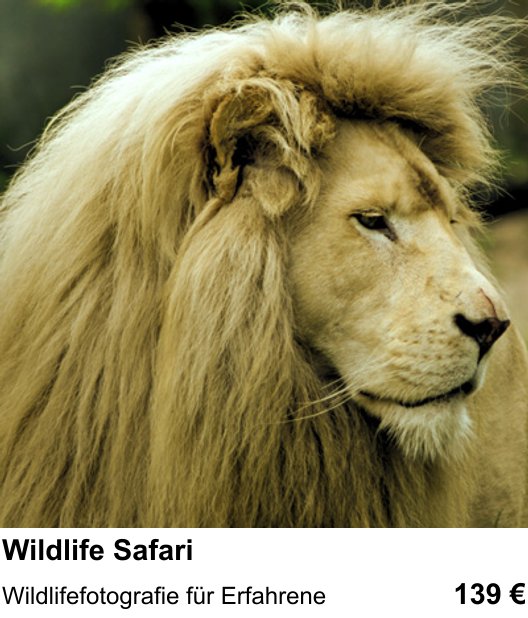 Bessere Fotos in Karlsruhe: Wildlife Safari praxisnah lernen
