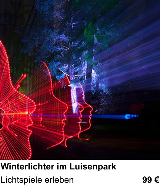 Einsteigerfreundlicher Fotokurs: Winterlichter im Luisenpark – Lichtspiele erleben