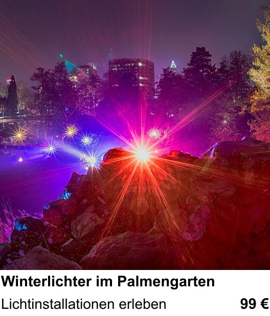 Einsteigerfreundlicher Fotokurs: Winterlichter im Palmengarten – Lichtinstallationen erleben